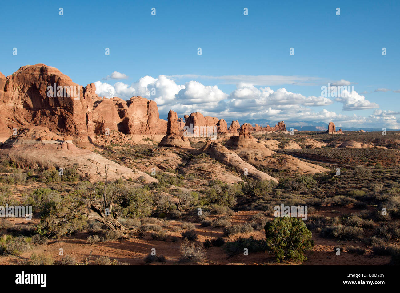 Parade of Elephants in evening light Arches National Park Utah USA Stock Photo