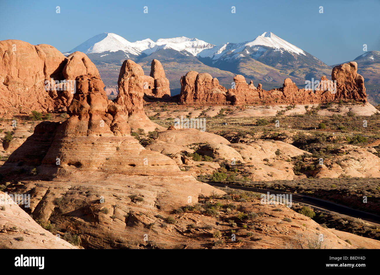 Parade of Elephants with backdrop of snow capped mountains in evening light Arches National Park Utah USA Stock Photo