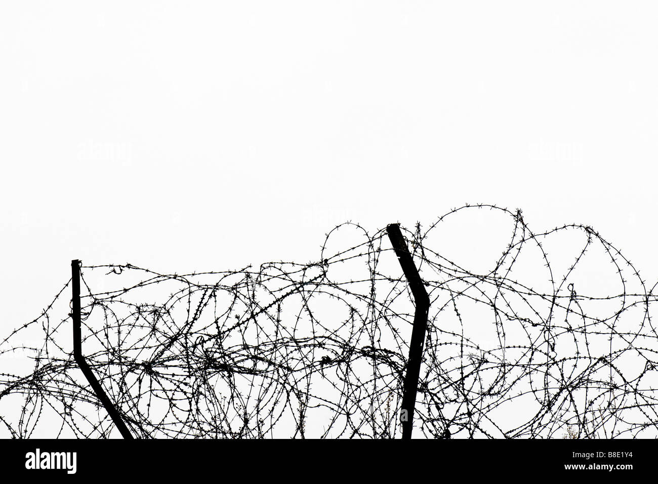 Barbed wire. Stock Photo