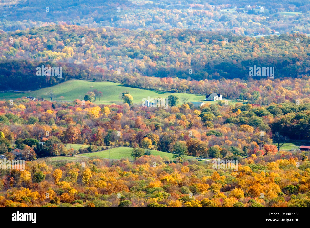 And red leaves changing colors in fall hi-res stock photography and ...