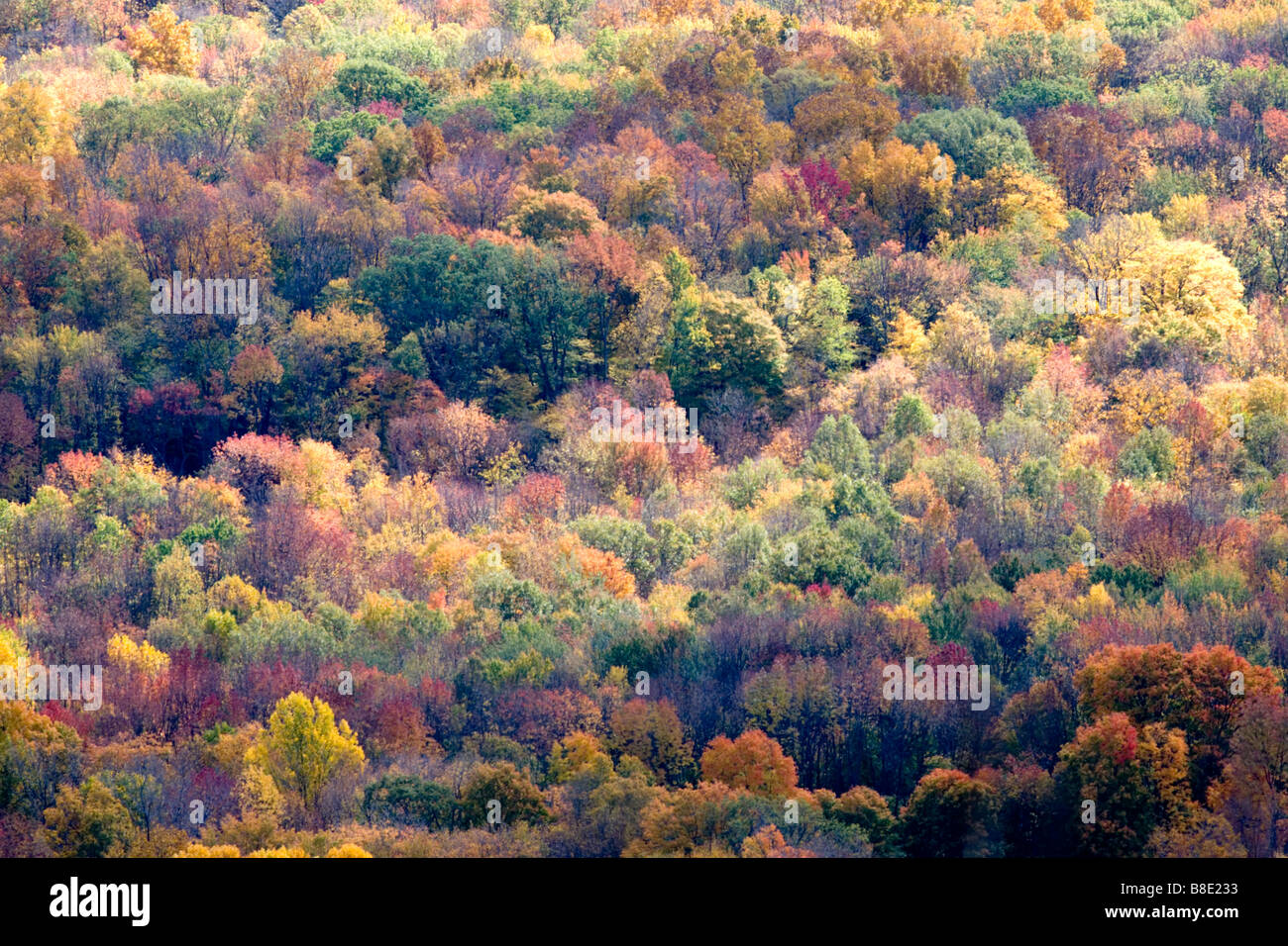 A scenic view of an Autumn Day surrounded by the changing leaves and all the colors. Stock Photo