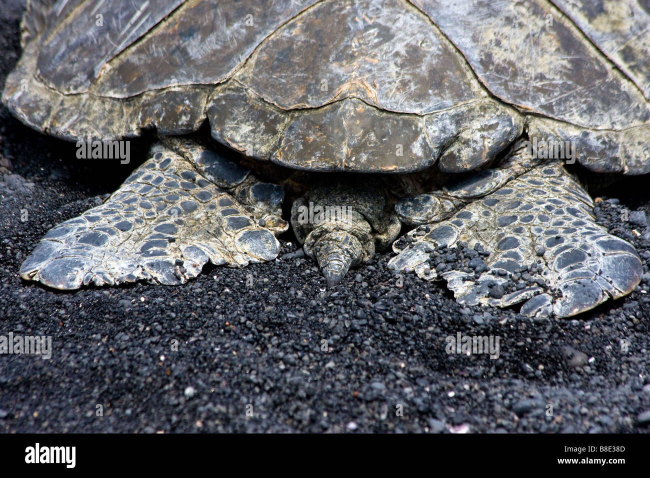 Hawaii Big Island Black Sand Beach Stock Photo Alamy