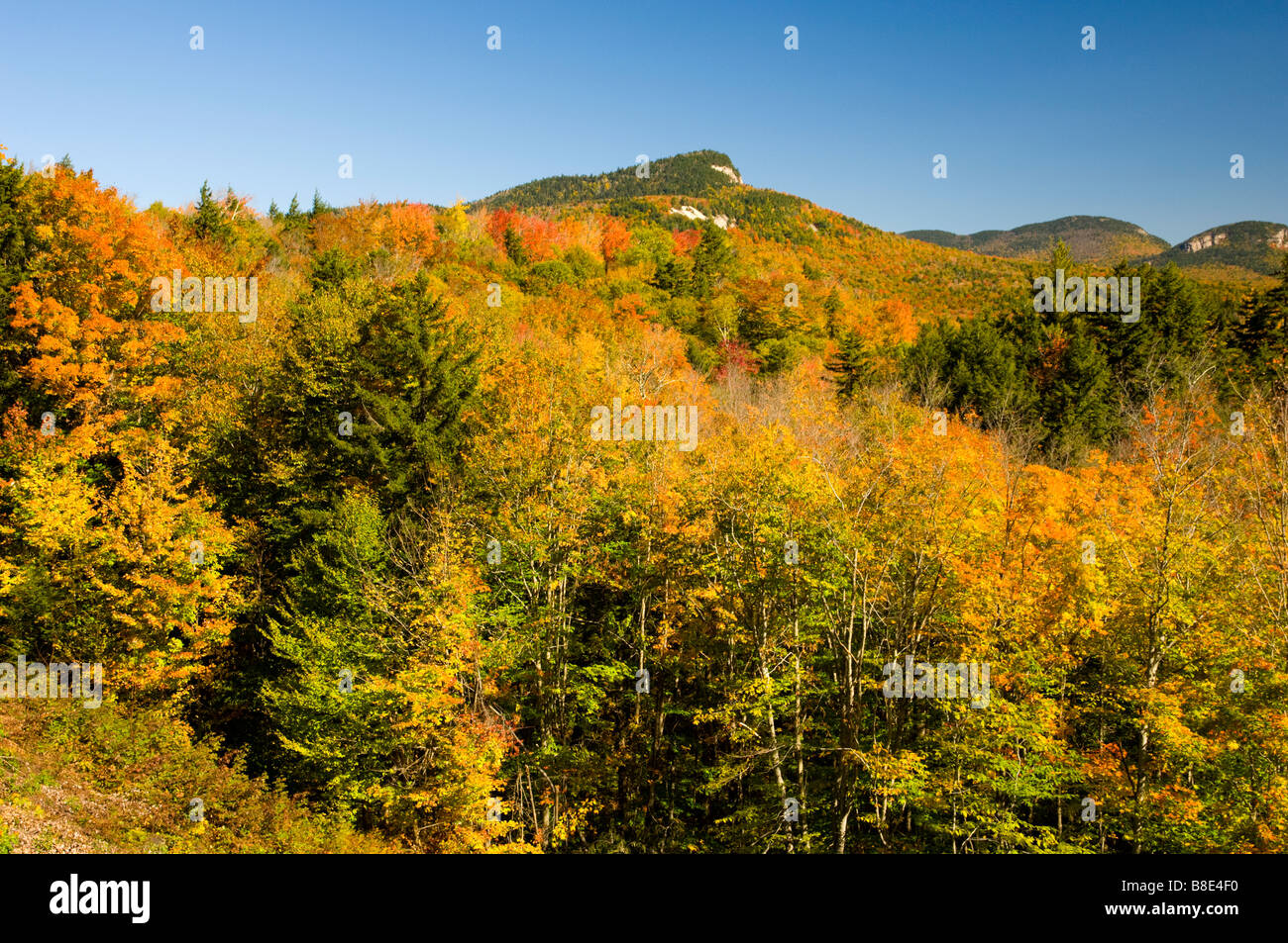 Fall foliage color along the Kancamagus Highway in New Hampshire USA Stock Photo - Alamy