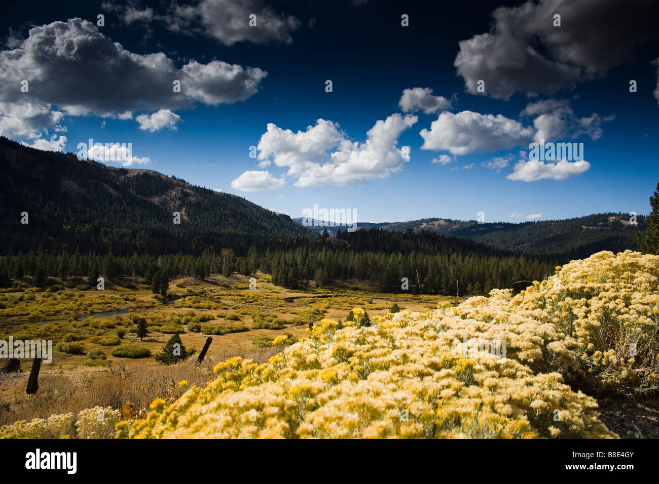 Fall in the Sierra Nevada Stock Photo