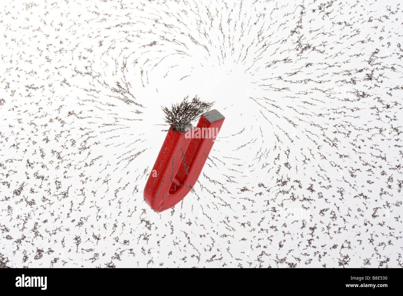 iron filing particles magnetized by horseshoe magnet Stock Photo