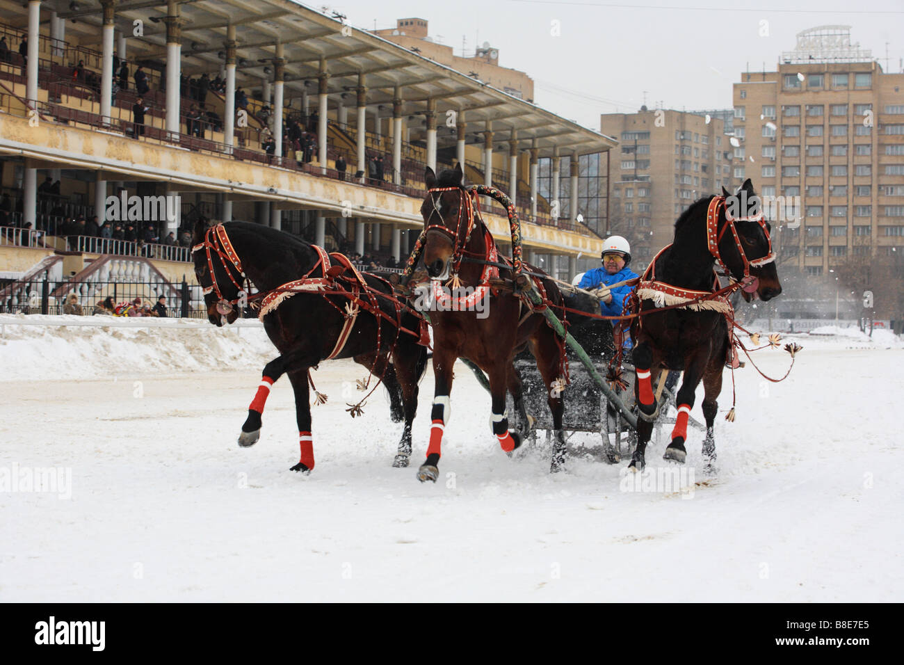 Russian Troika driving competitions in Moscow Stock Photo