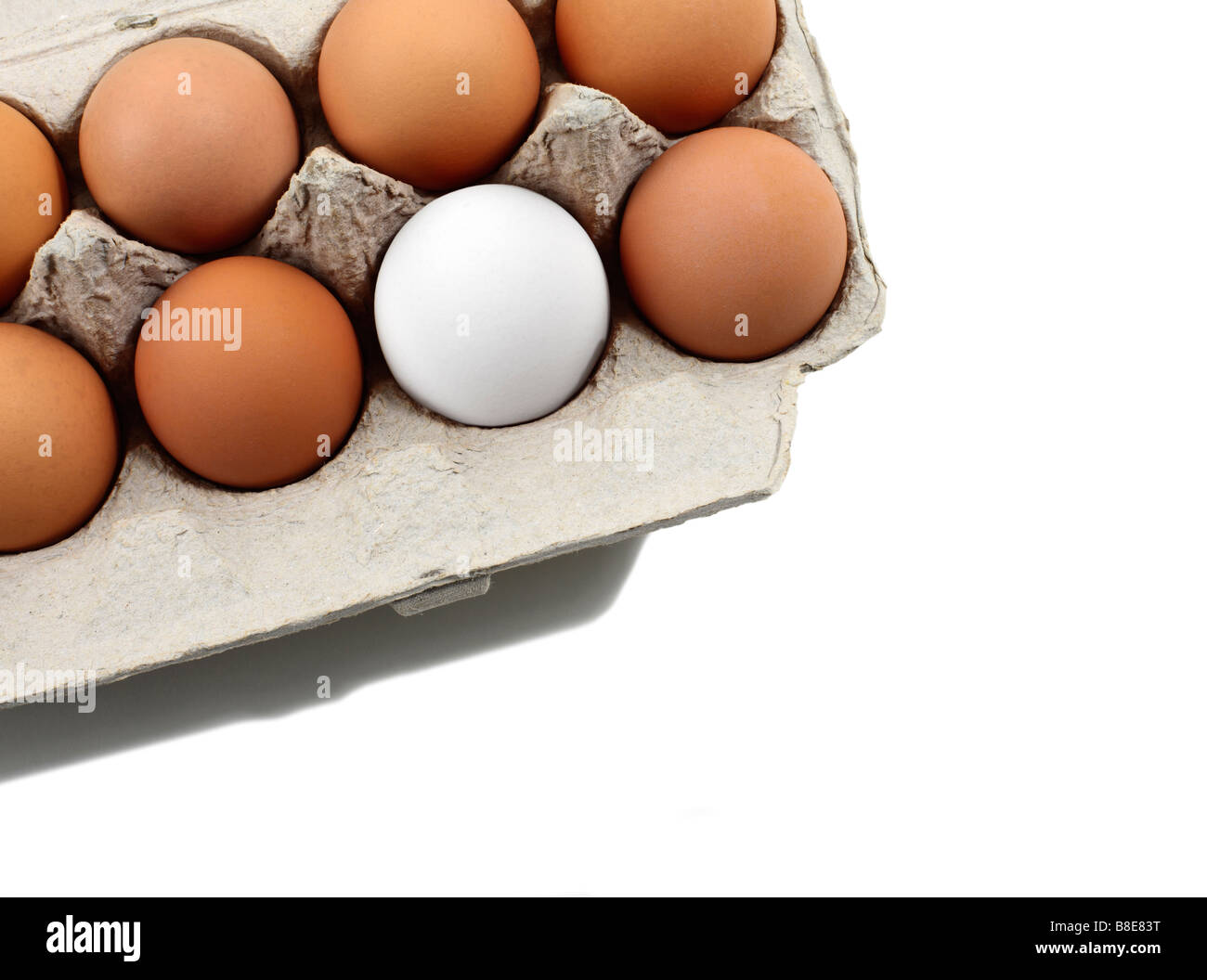One White Egg in Carton of Brown Organic Eggs Stock Photo Alamy