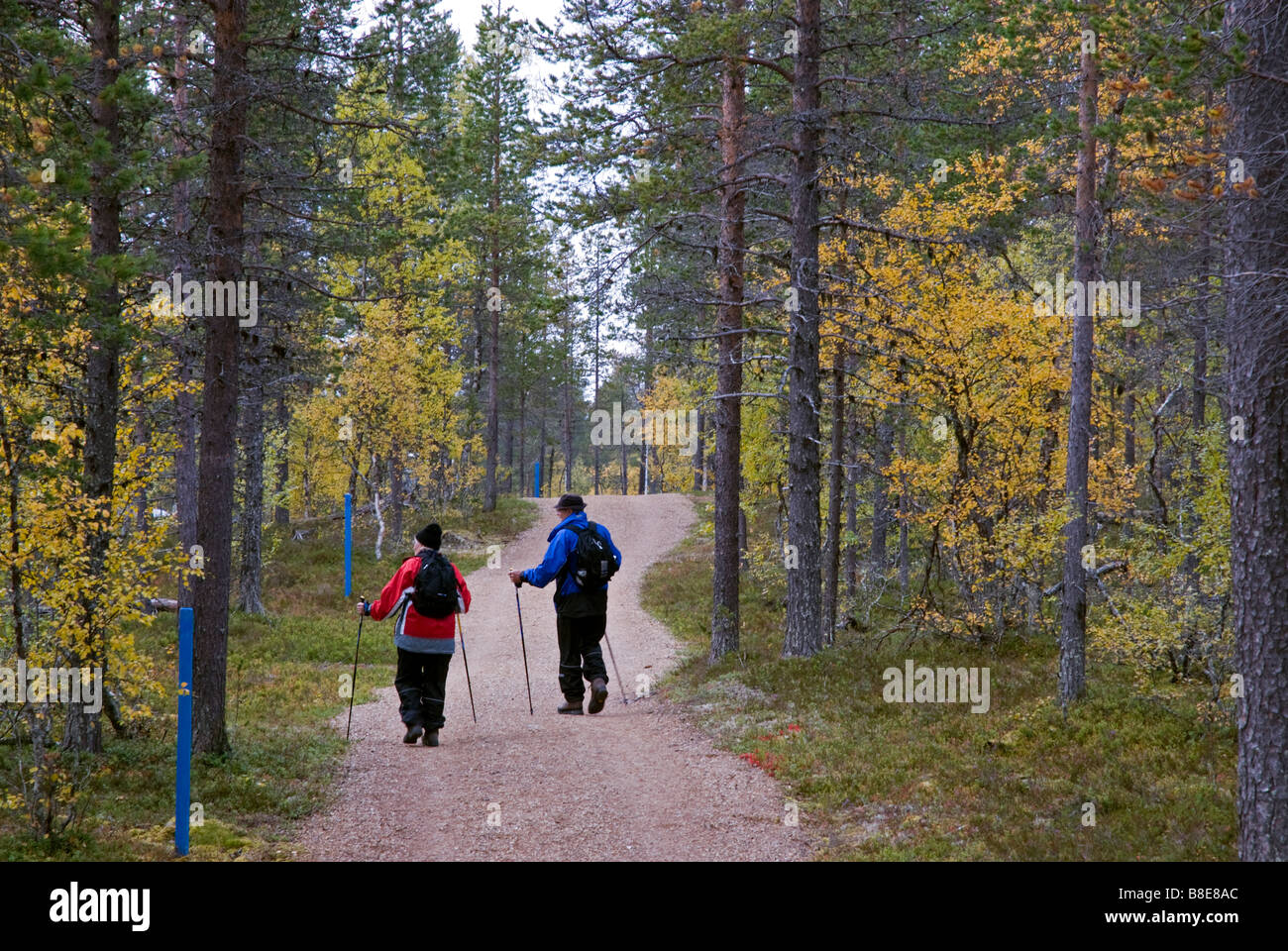 Between Laanila and the Prospector s Gold Mine Prospektorin kaivos Lapland Lappi Finland Stock Photo