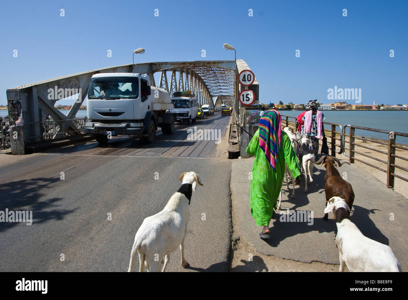 Herding Goats onto Faidherbe Bridge in St Louis in Senegal Africa Stock Photo