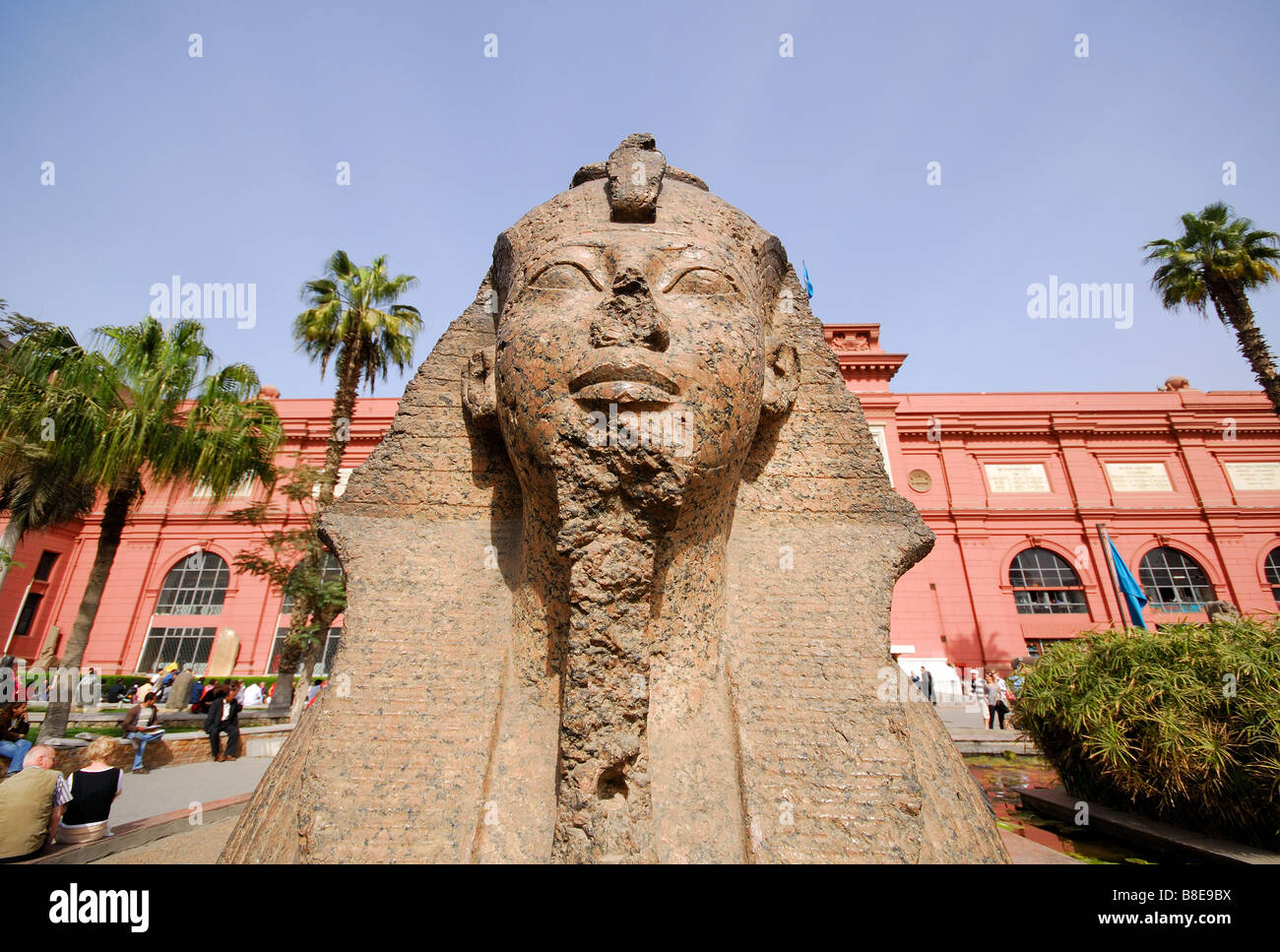 CAIRO, EGYPT. View of a sphinx in the courtyard of the Cairo Museum of Egyptian Antiquities. 2009. Stock Photo