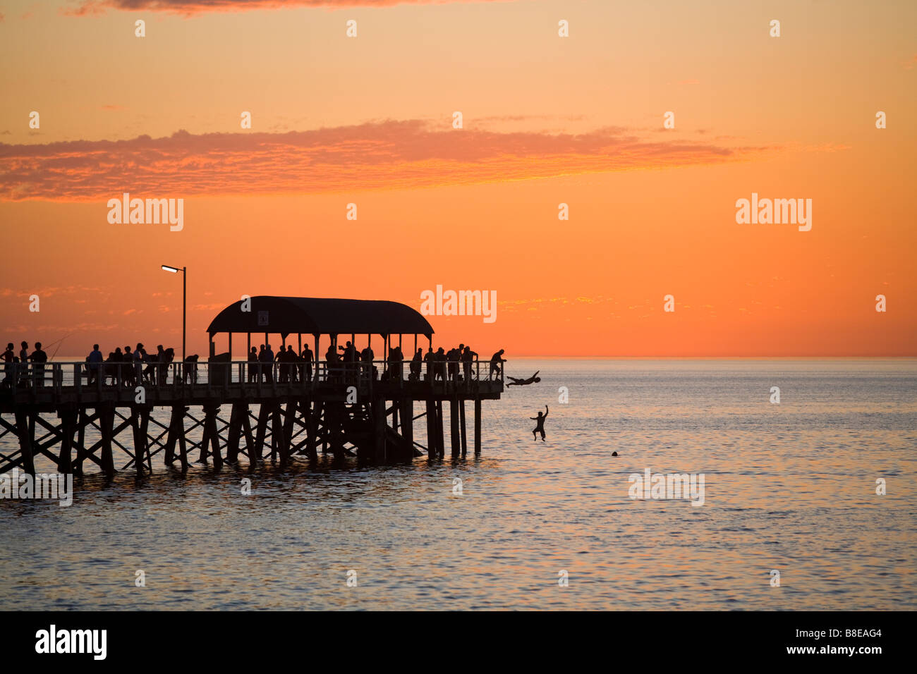 Jumping off Henley Pier, Adelaide Stock Photo Alamy
