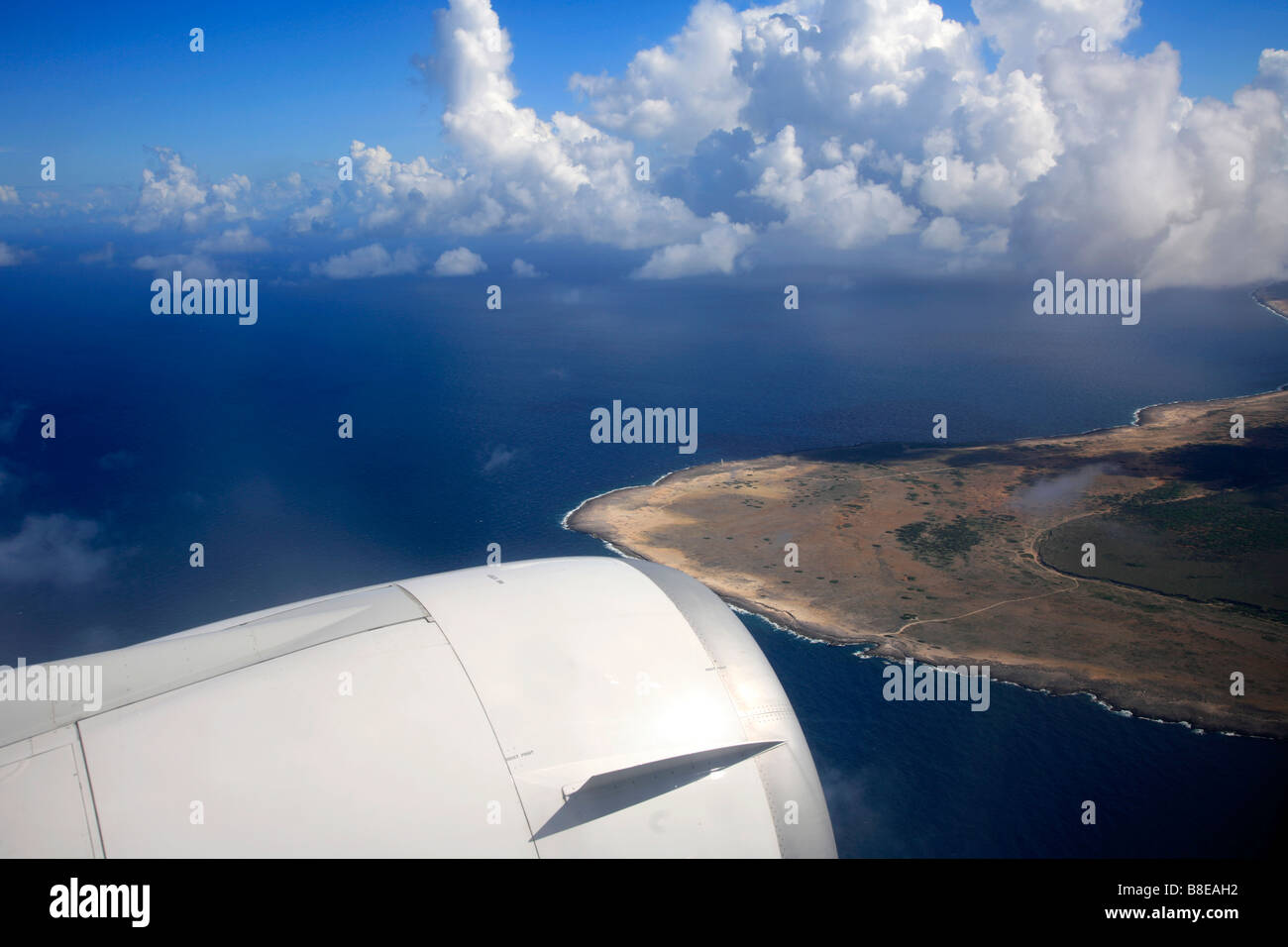 Bonaire flamingo airport hires stock photography and images Alamy