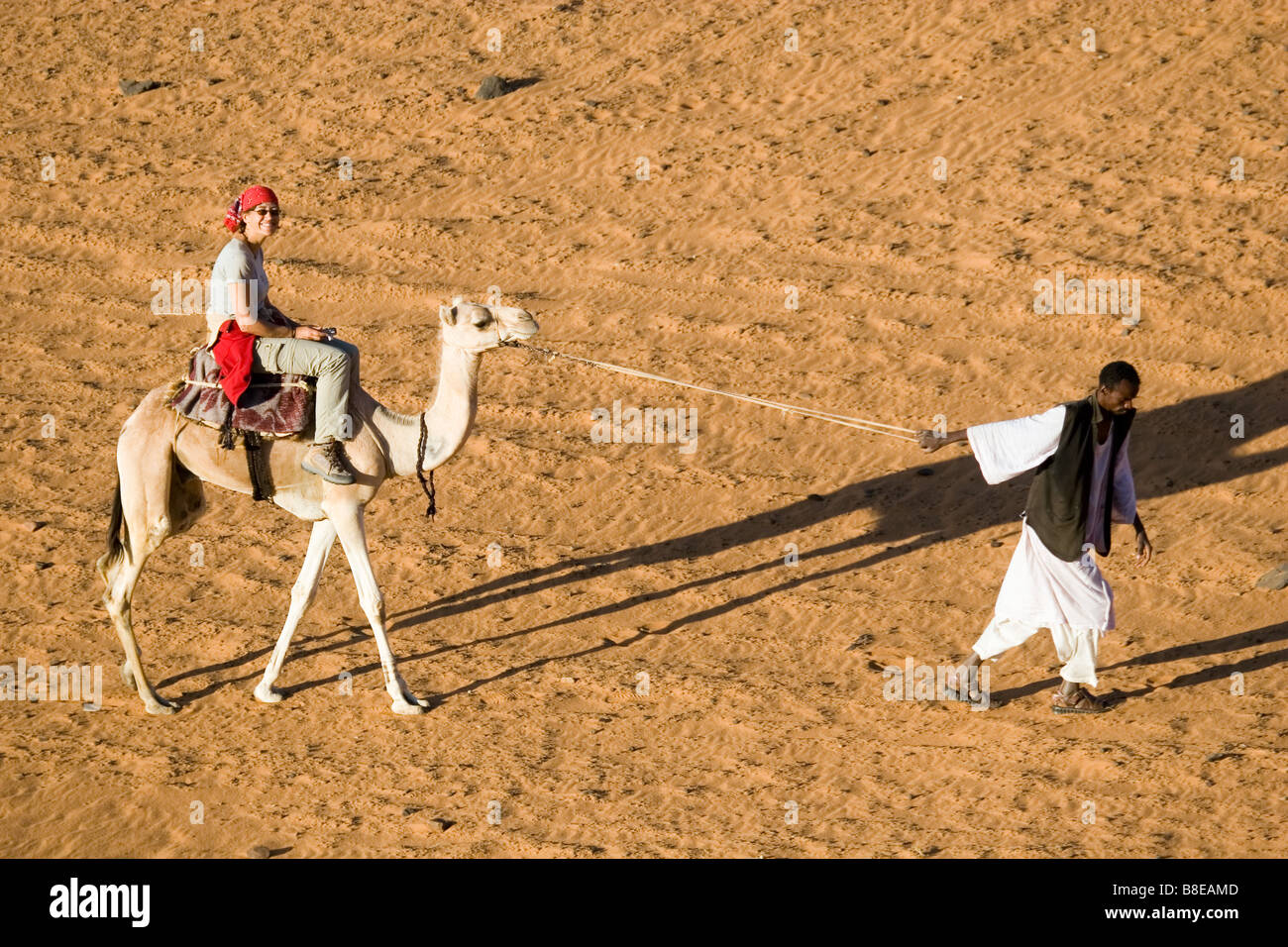 Camel safari adventure hi-res stock photography and images - Alamy