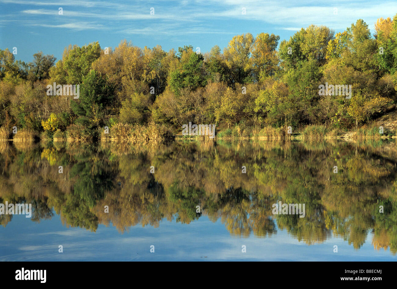 Trees Reflected in Water, Autumn or Fall Colours / Colors& Reflections ...
