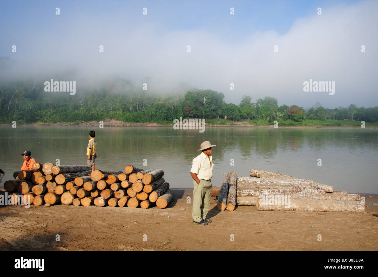 Amazon rainforest logging hires stock photography and images Alamy