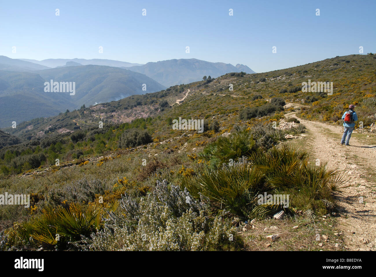 woman hiking on mountain track, near Benimaurell, Vall de Laguar, Alicante province, Comunidad Valenciana, Spain Stock Photo