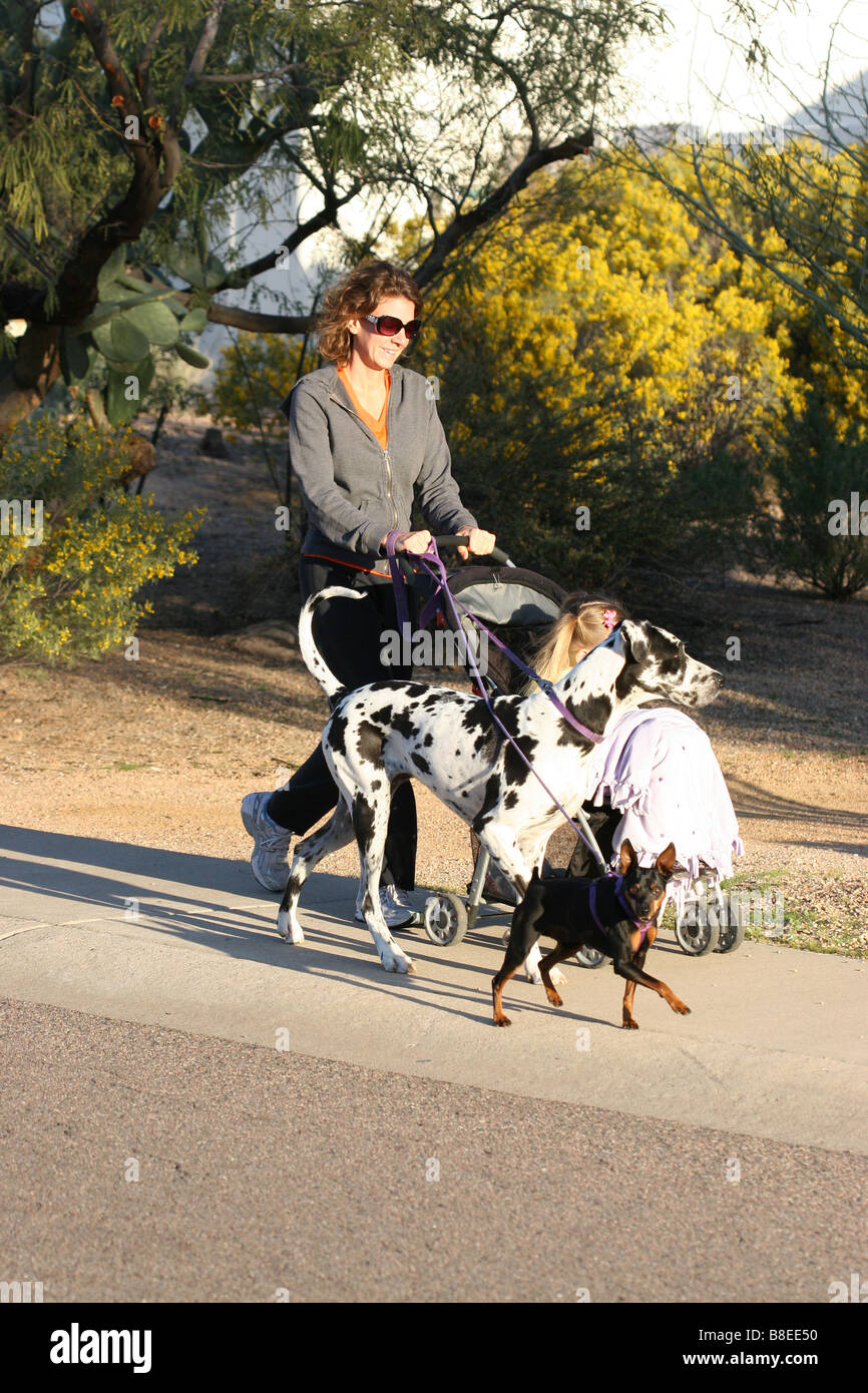 A young woman walks dogs and pushes daughter in stroller Stock Photo