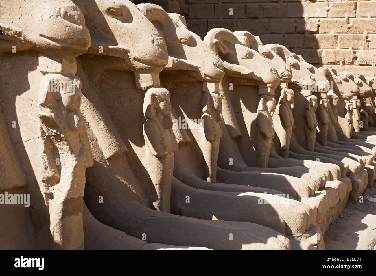 Ram statues at Karnak Temple in Egypt Stock Photo Alamy