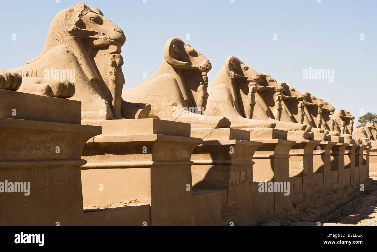 Ram statues at Karnak Temple in Egypt Stock Photo Alamy