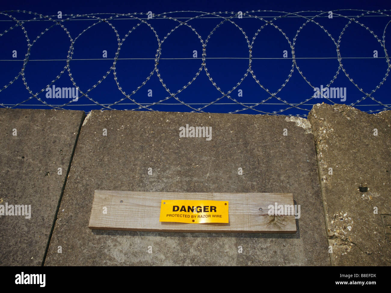 A concrete wall protected by razor wire with a danger warning sign Stock Photo