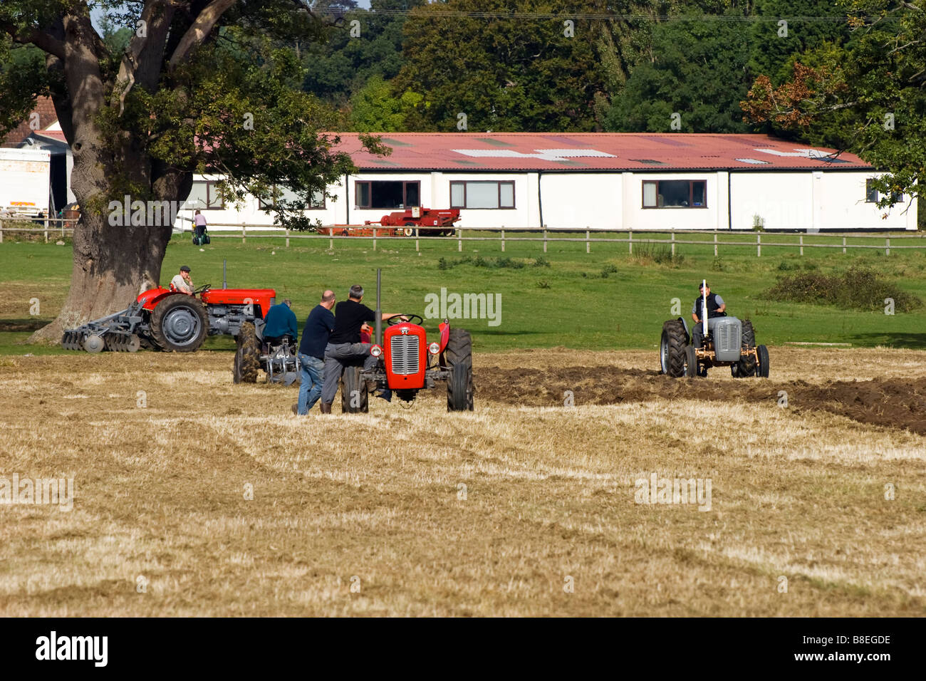 Tractor enthusiasts get together for ploughing match, with Massey Ferguson 35 & 65, and Ferguson 35 & T20 models Stock Photo