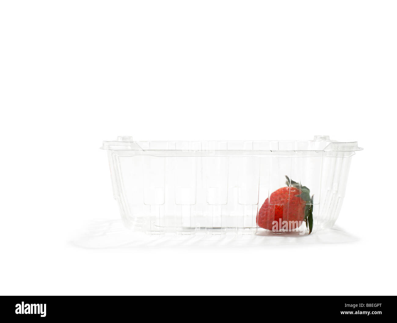 Clear Plastic Basket of with one Organic Strawberry Stock Photo Alamy