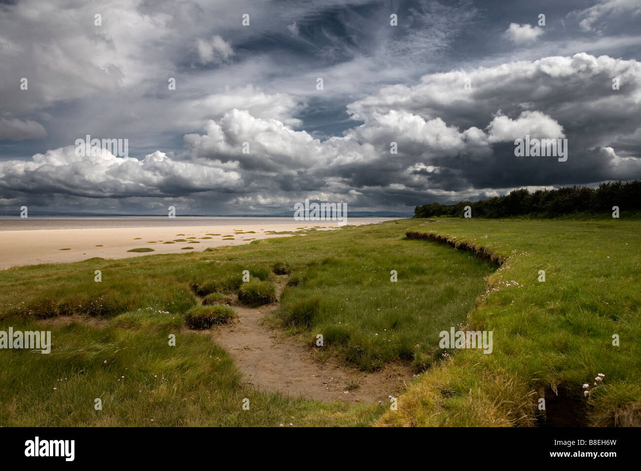 Solway firth and mud hi-res stock photography and images - Alamy