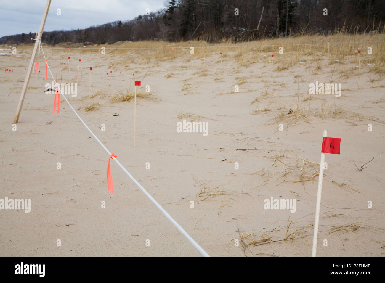 Researchers Study Movement of Sand Dunes Stock Photo