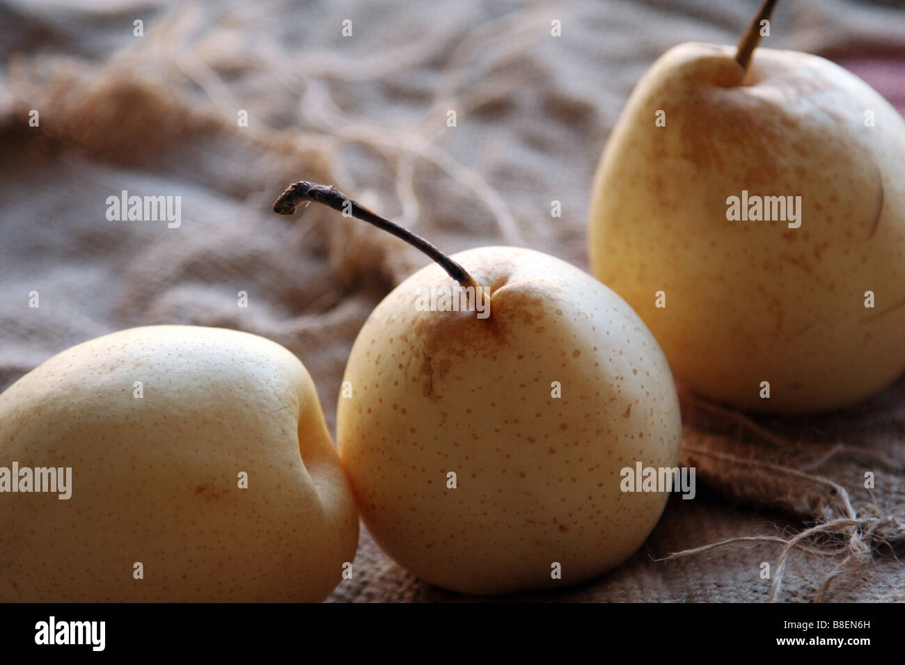 Pear Fruit Stock Photo