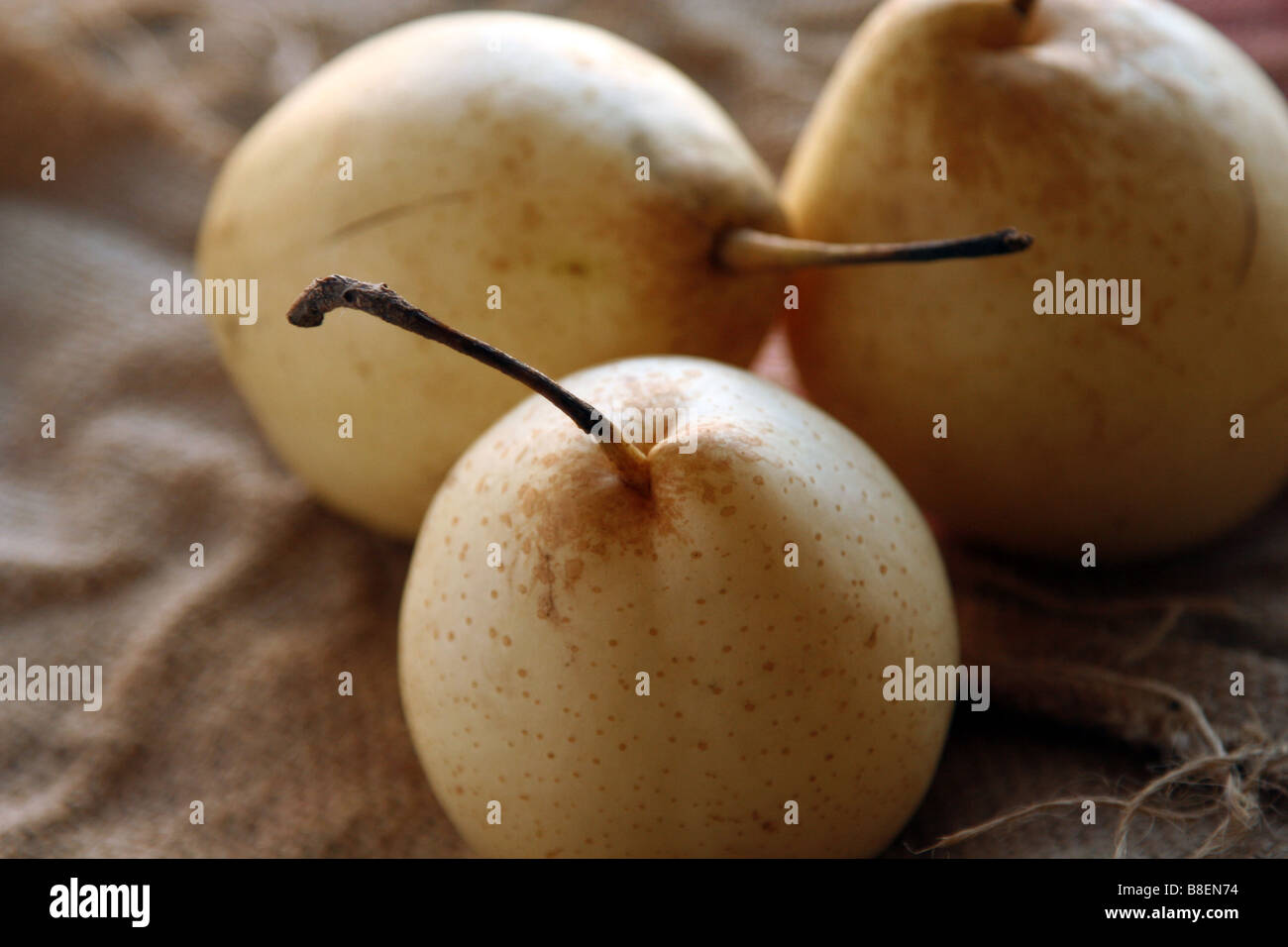 Three Chinese pears fruit on a jute Stock Photo
