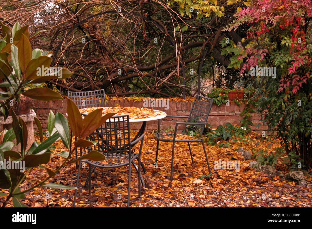 The golden leaves of autumn are strewn over a courtyard patio in Sienna Italy. Stock Photo