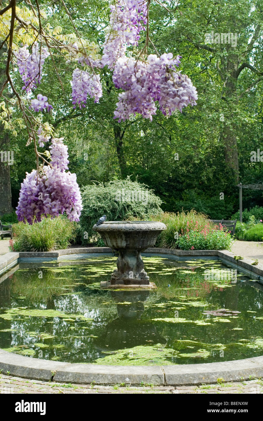 Pond in a English Garden Stock Photo Alamy