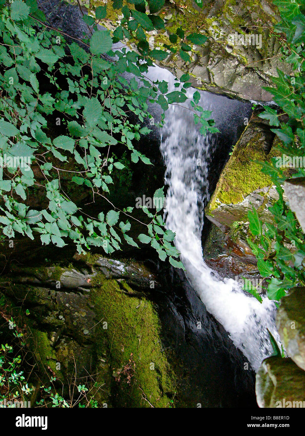 mountain stream flowing though mossy rocks.lake district. Stock Photo