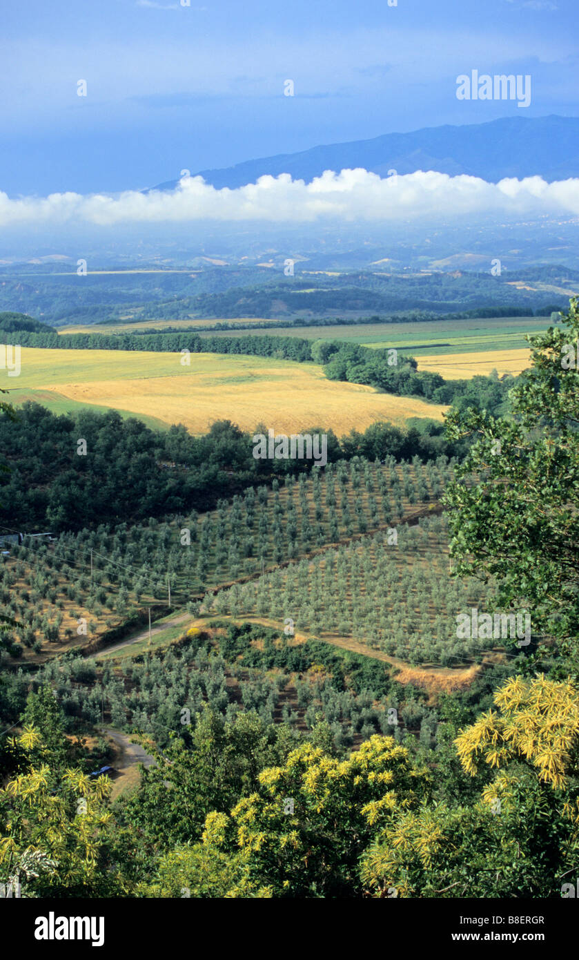 Sunlight after the storm Arno Valley Italy Stock Photo Alamy