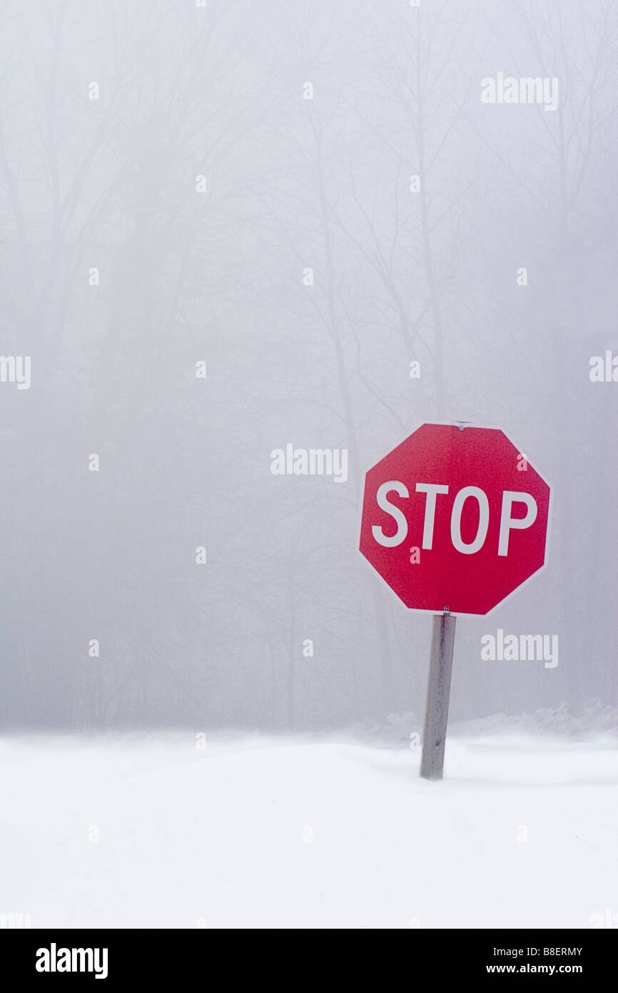 A stop sign stands in the middle of deep snow with no road visible, against a backdrop of mist and trees in Winter. Stock Photo