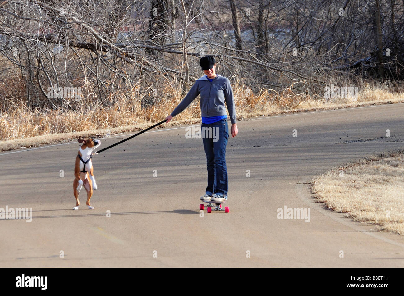 A pretty girl skateboards with her pet boxer dog. Oklahoma, USA Stock