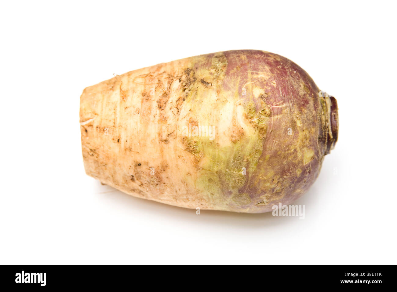 Swede isolated on a white studio background Stock Photo