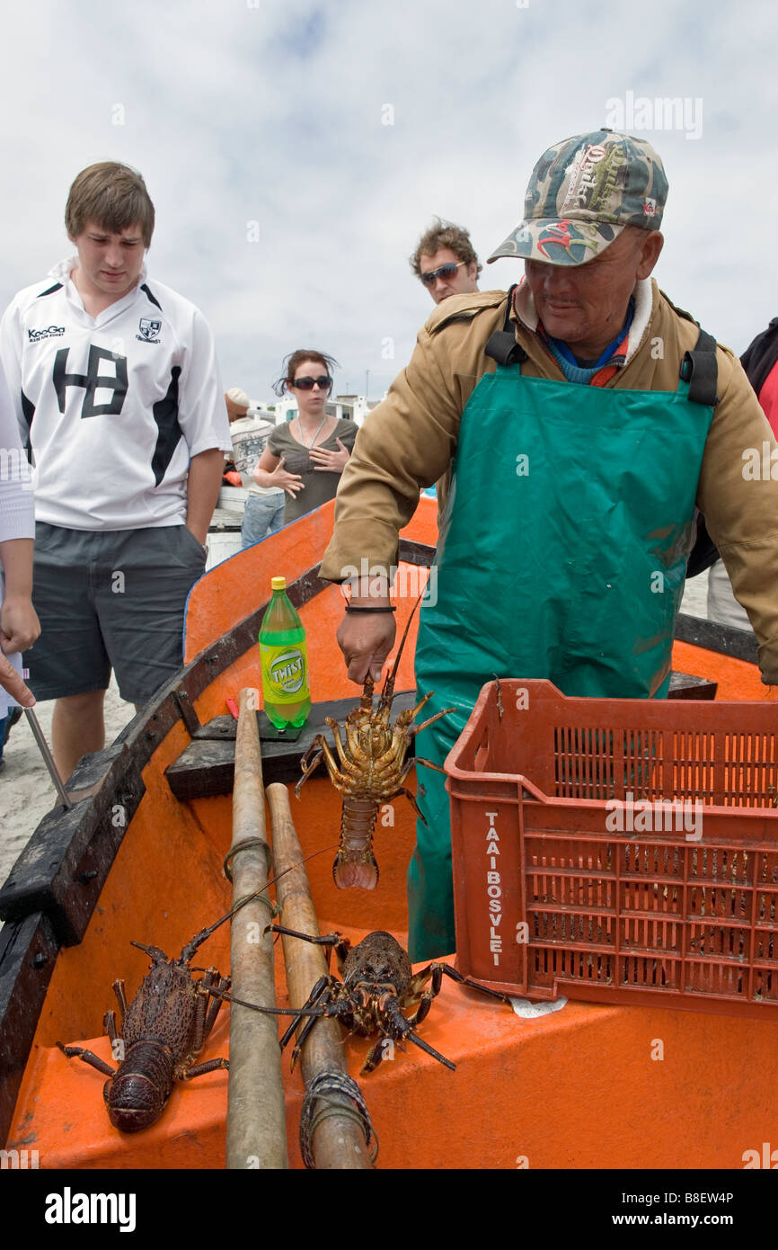 Fisherman selling fresh crayfish to holiday makers in Paternoster Western Cape South Africa Stock Photo