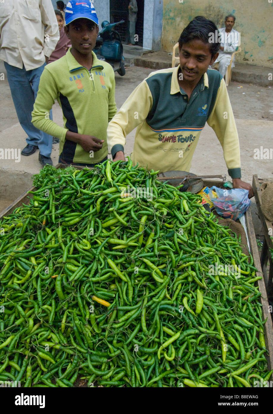 Chili peppers in outdoor market, Northern India Stock Photo Alamy