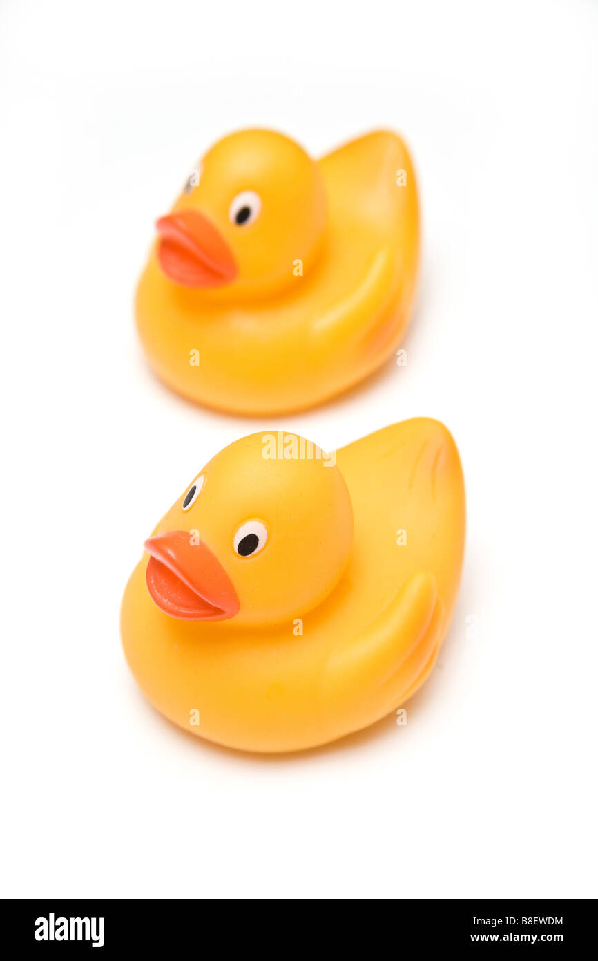 Rubber Ducks isolated on a white studio background Stock Photo