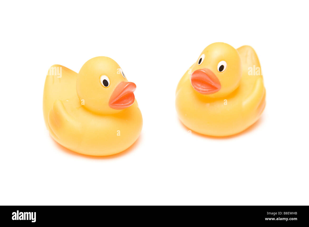 Rubber Ducks isolated on a white studio background Stock Photo - Alamy