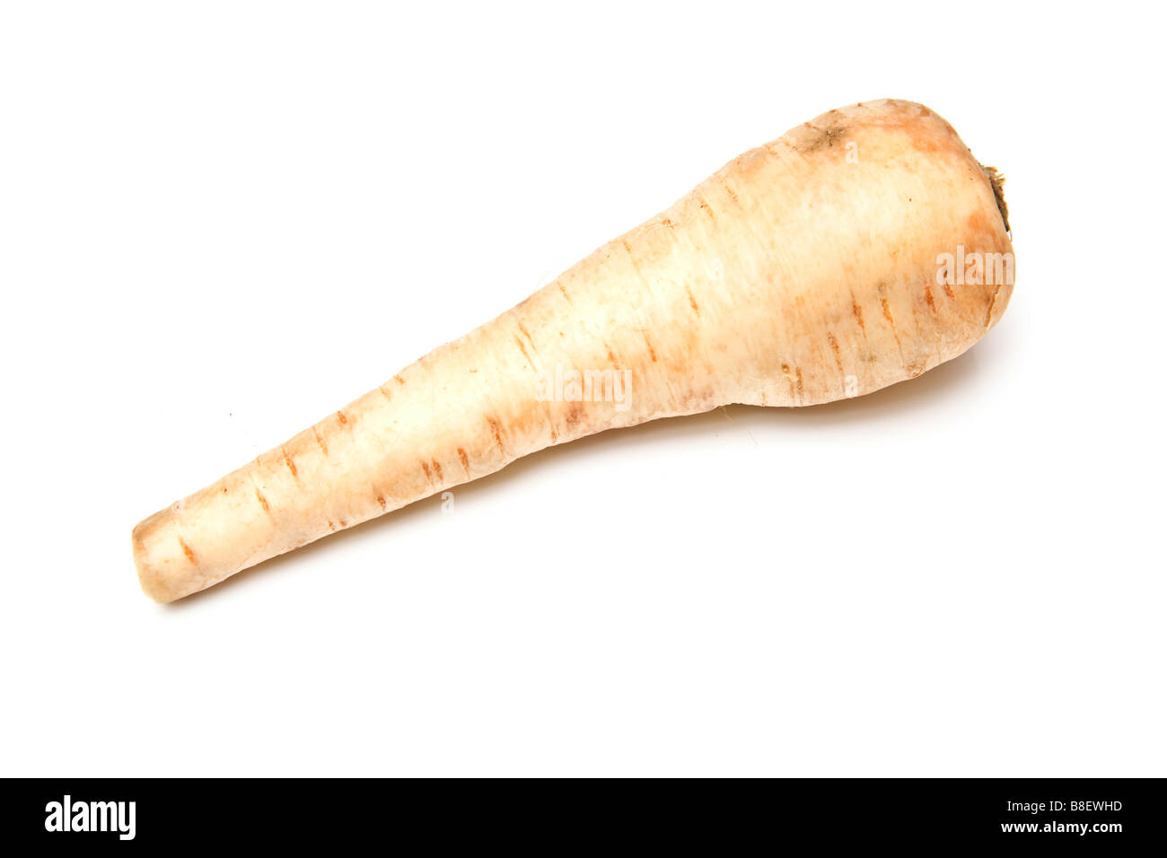 Parsnip isolated on a white studio background Stock Photo