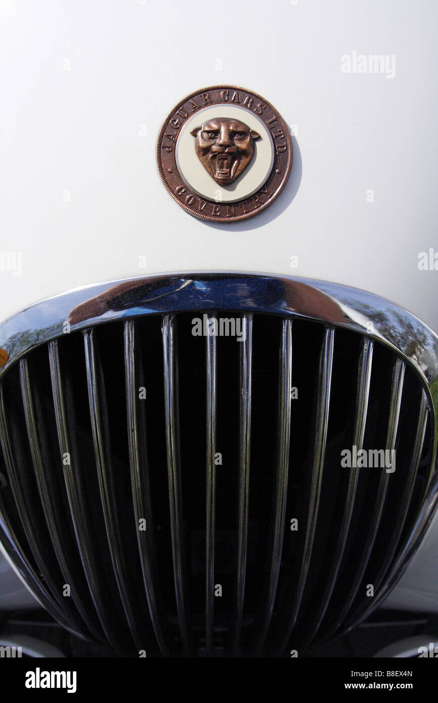 Jaguar car emblem hires stock photography and images Alamy
