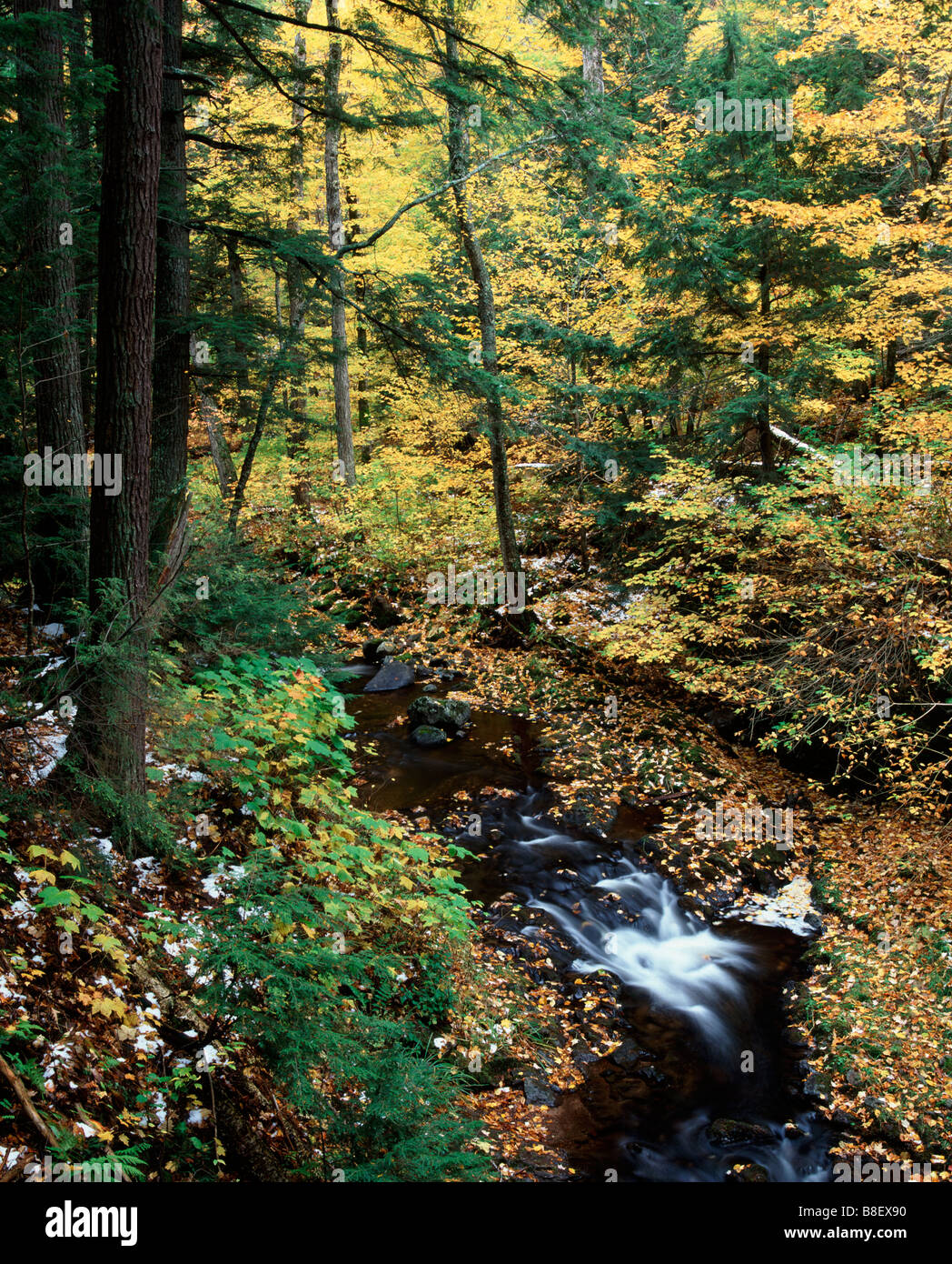 Little Carp River, Porcupine Mountains Wilderness State Park, Upper