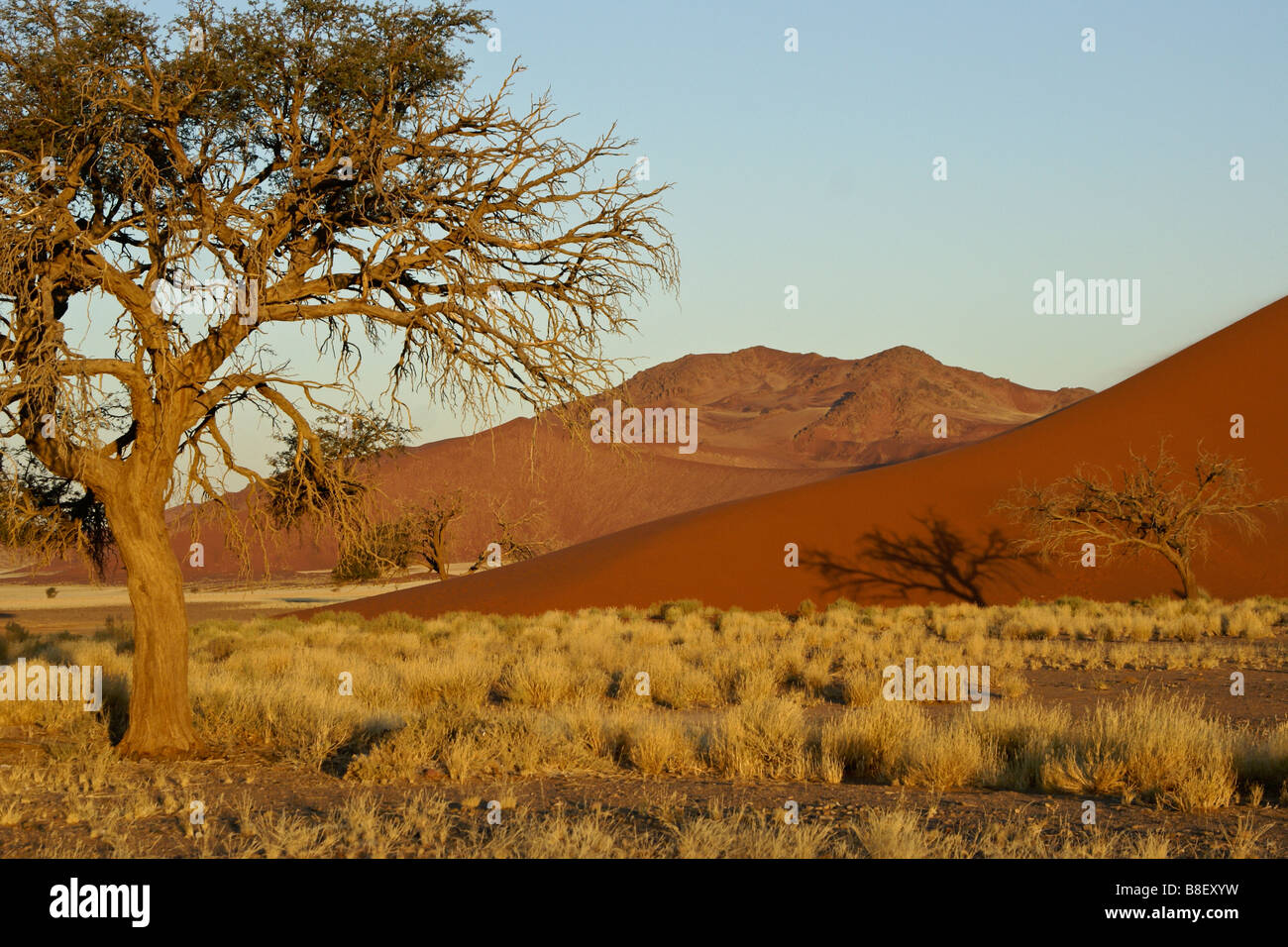 Dune 45 In Namib Naukluft National Park, Namibia – AAMGV