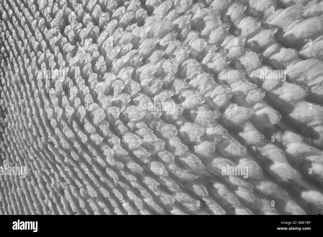 Naturally ice scales gathered on a wire netting (Puy de Dôme - France). Ecailles de glace formées naturellement sur un grillage. Stock Photo
