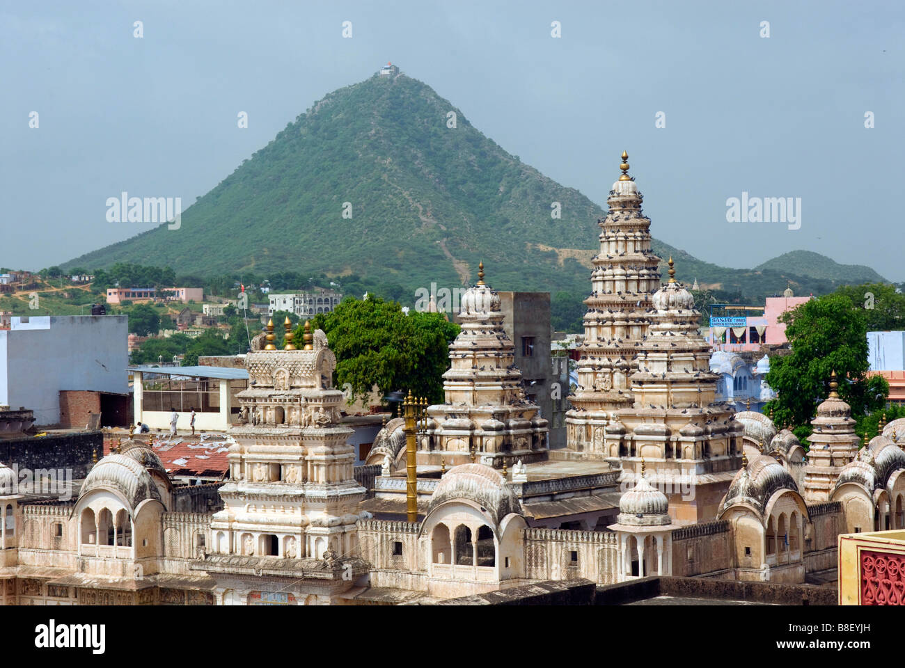 India Rajasthan Pushkar Rangji Hindu temple Stock Photo