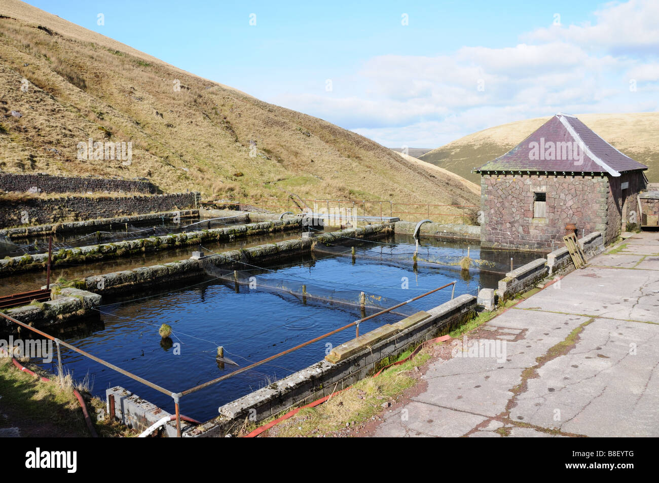 Trout hatchery hires stock photography and images Alamy