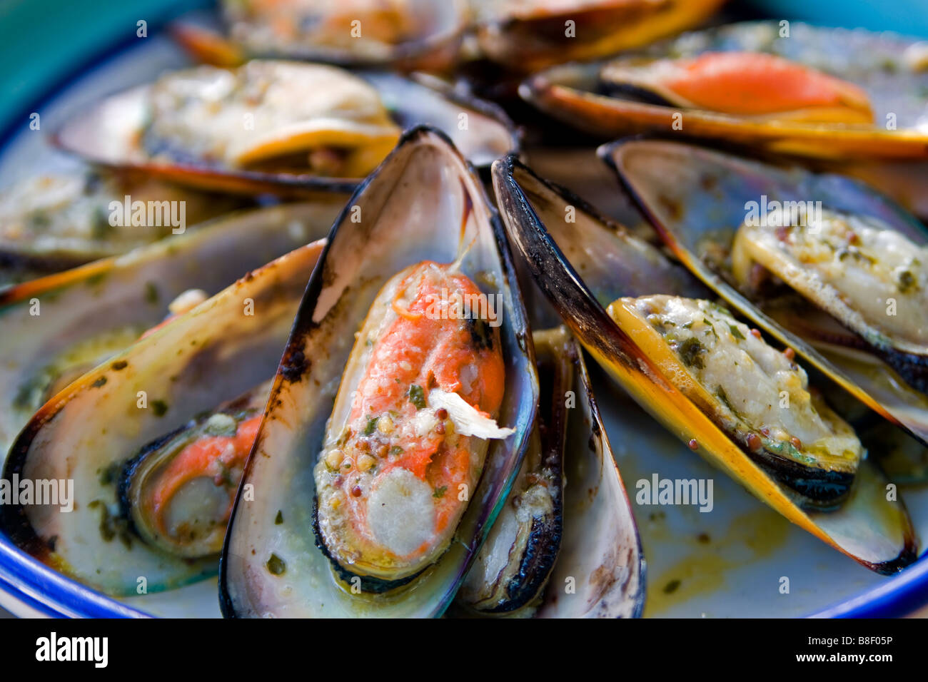 Fresh New Zealand Green Lipped Mussels barbequed with herbs and garlic butter Stock Photo