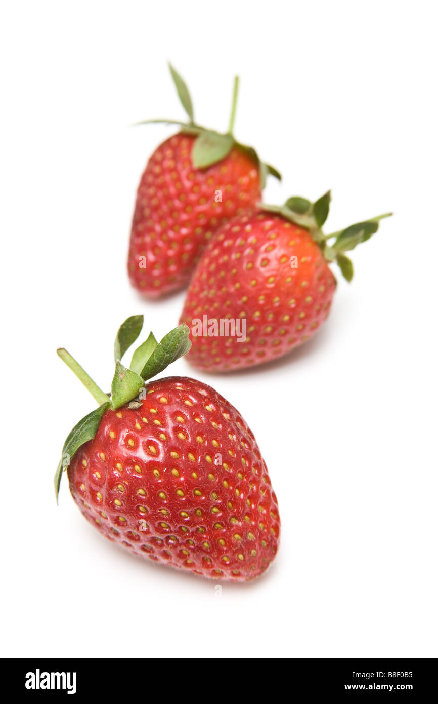 Strawberries isolated on a white studio background Stock Photo - Alamy
